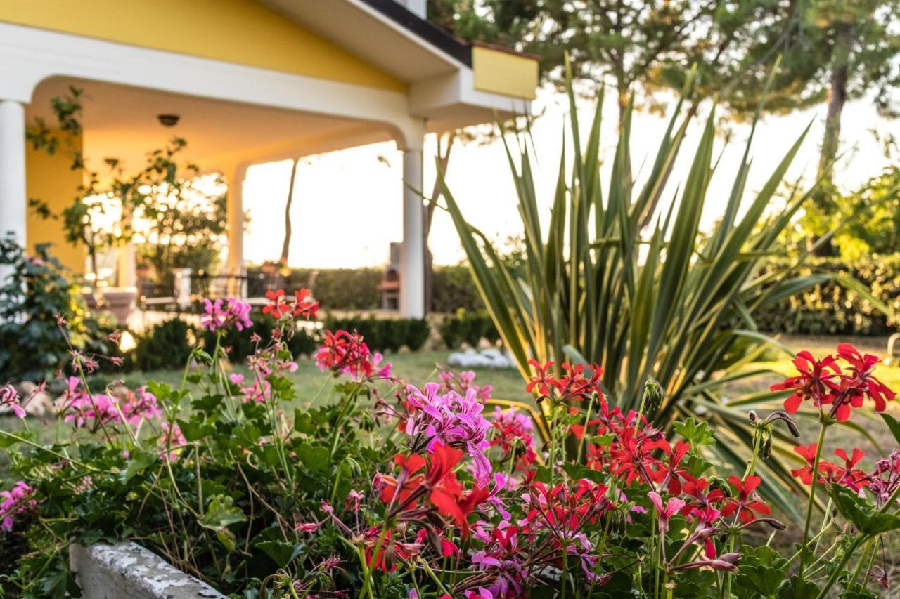 Casale Delle Rose B&B Fattoria Montepagano エクステリア 写真